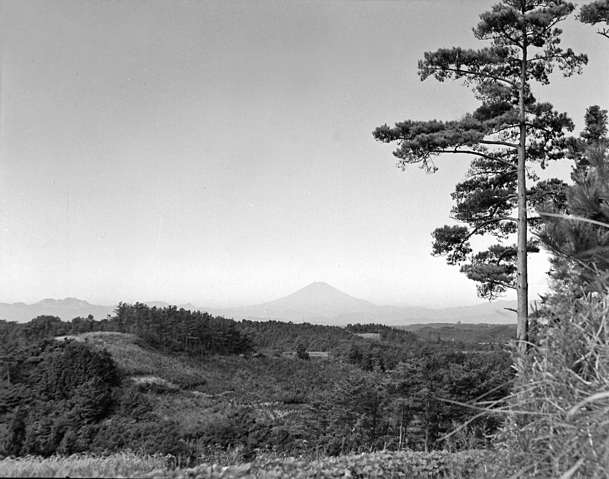 台峰の山畑1955年